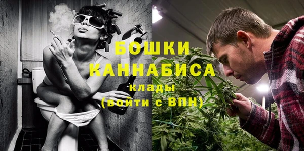 стаф Вяземский