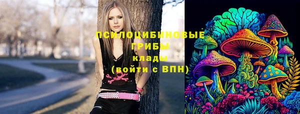 стаф Вяземский