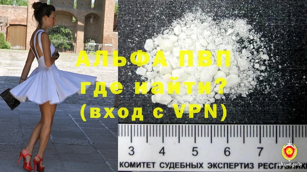 СК Вязники