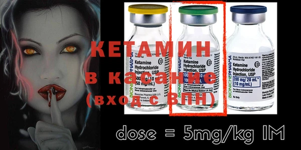 стаф Вяземский