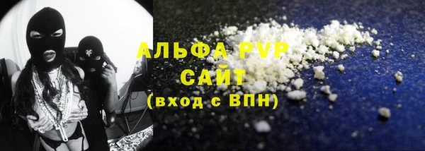 стаф Вяземский
