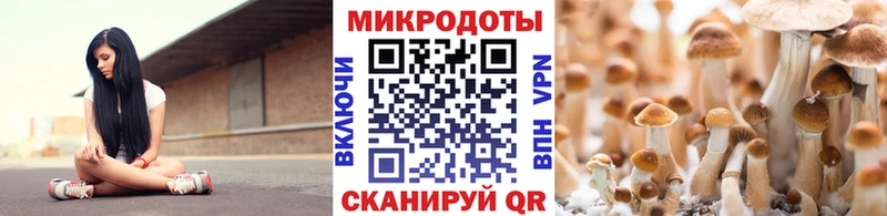 Псилоцибиновые грибы Magic Shrooms  купить наркоту  Емва 